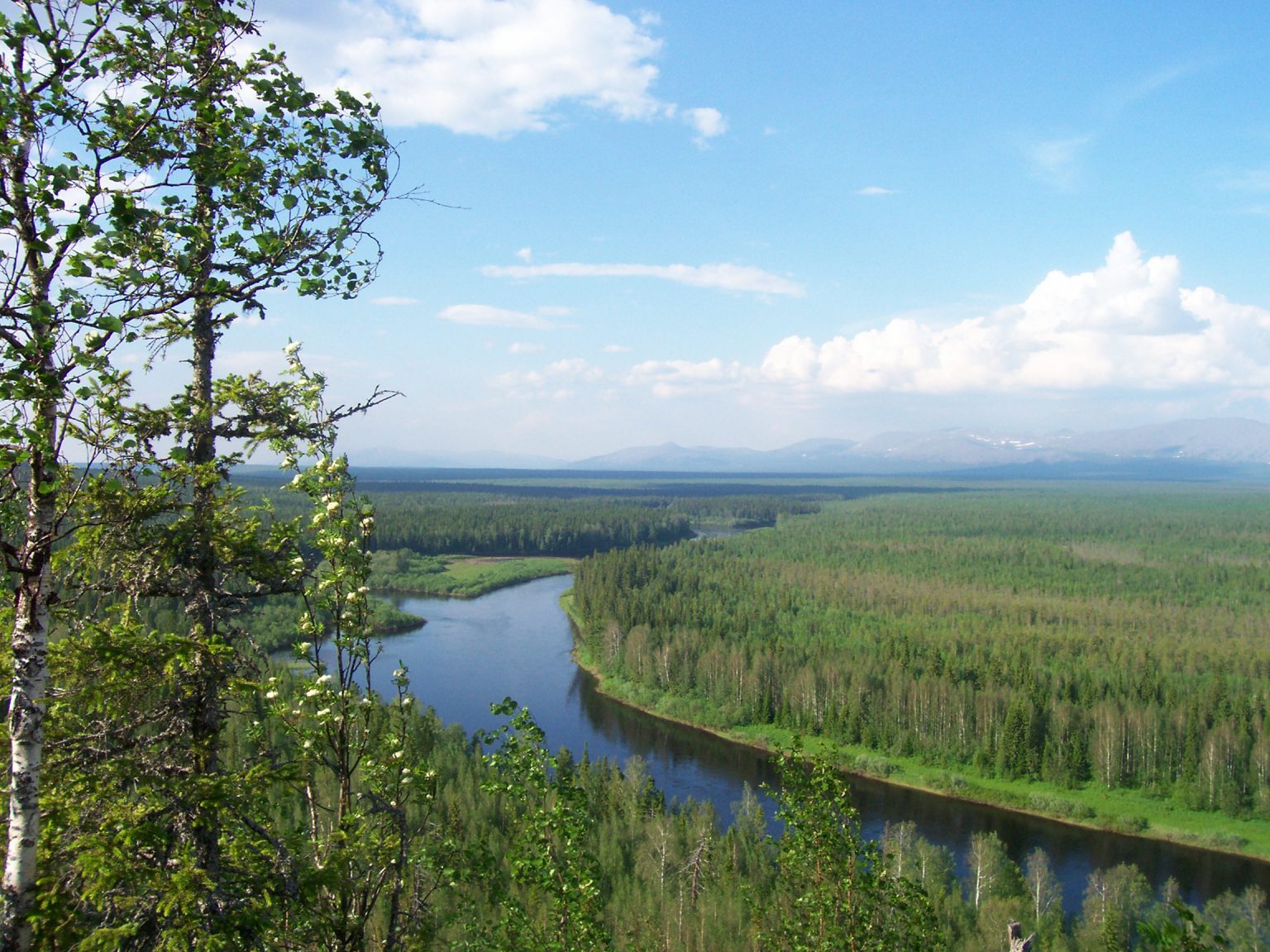 Река Илыч Республика Коми